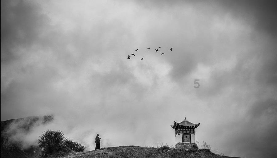 武斗纹章2初篇