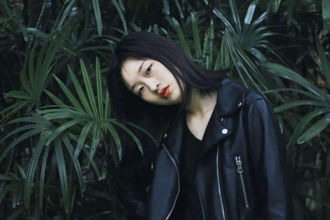 口袋侏罗纪