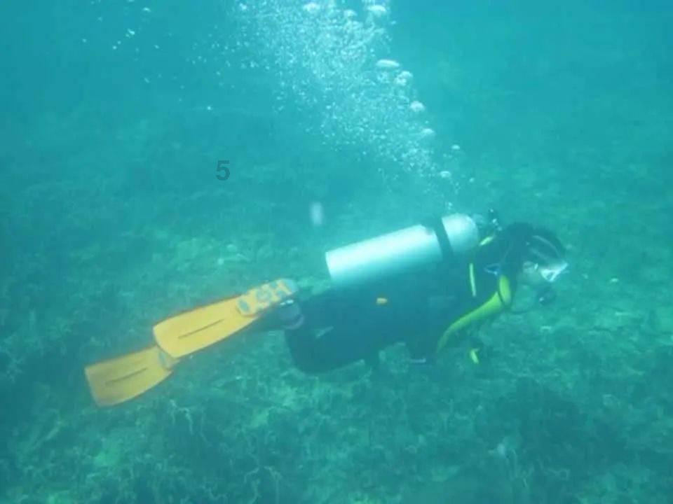 烟台二手车过户到莱阳怎么办游戏画面