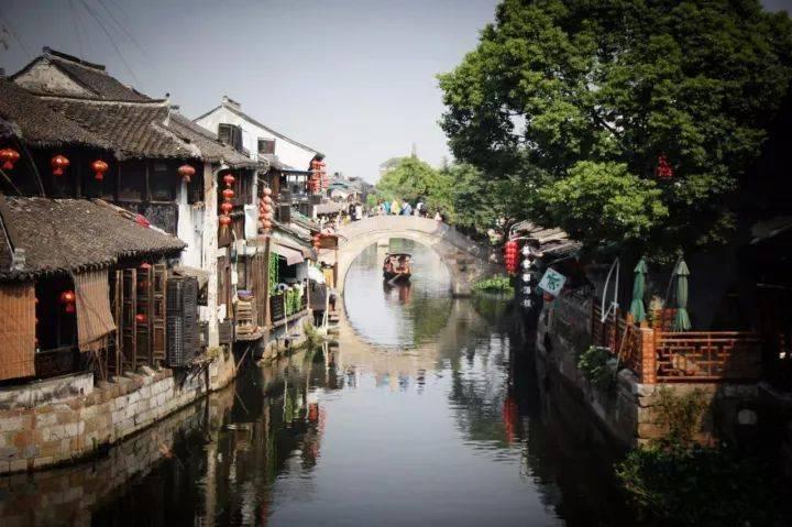 红色鹦鹉逃脱