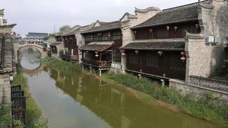 小孔雀逃脱